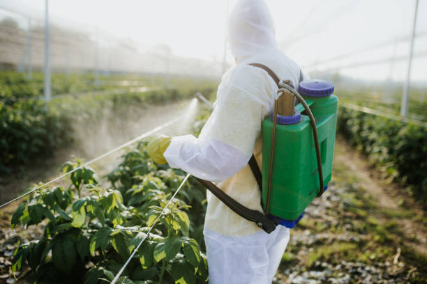 Best Mosquito Control Services  in Celina, TN